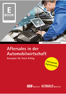 Aftersales in der Automobilwirtschaft (E-Book)