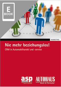 Nie mehr beziehungslos! (E-Book)