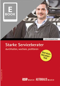 Starke Serviceberater (E-Book)