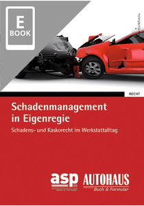 Schadenmanagement in Eigenregie (E-Book)