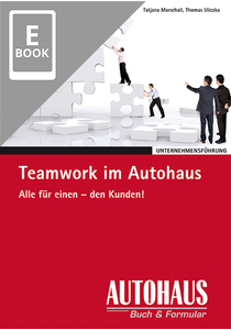 Teamwork im Autohaus (E-Book)