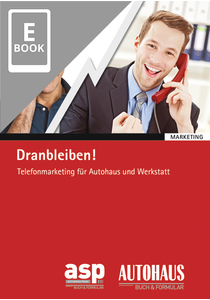 Dranbleiben! (E-Book)