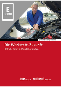 Die Werkstatt-Zukunft (E-Book)